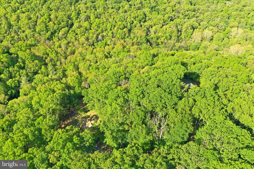 Additional image 15 of Lot 57 Park View Lane, Shenandoah, VA 22849