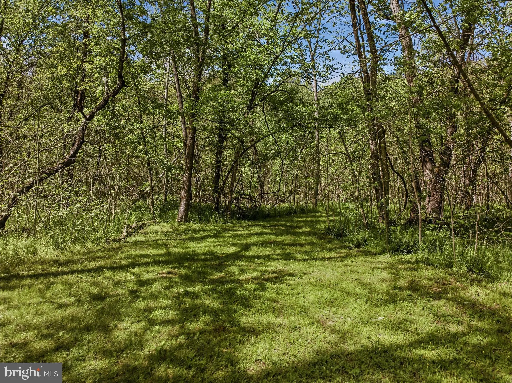 Additional image 44 of 1628 Vista River Road, Paw Paw, WV 25434