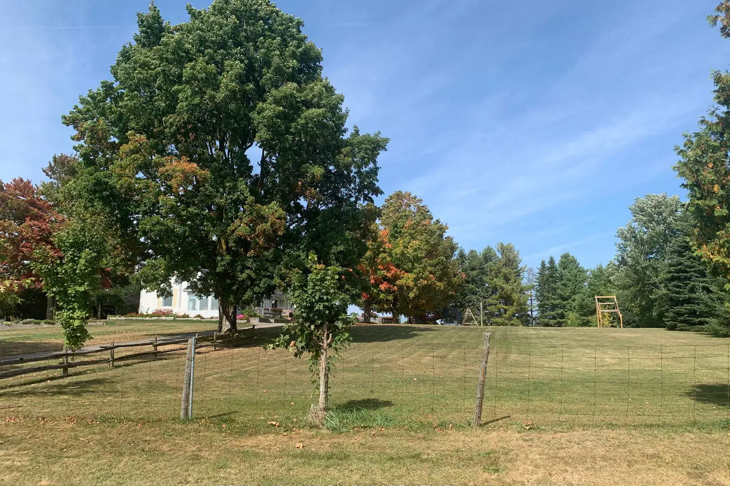 7688 Sideroad 5 photo 3