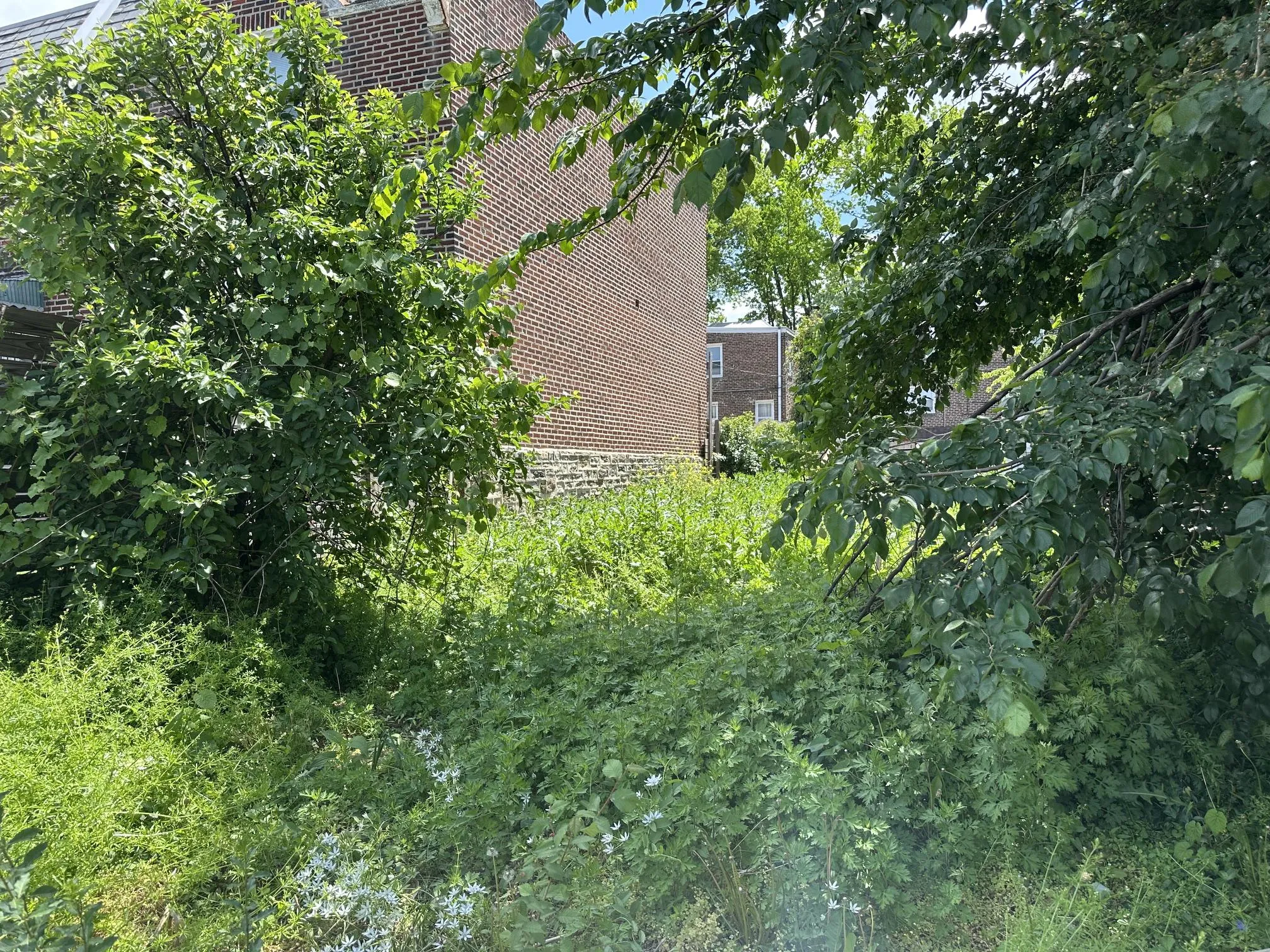 Additional image 7 of 4901 Miriam Road, Philadelphia, PA 19124