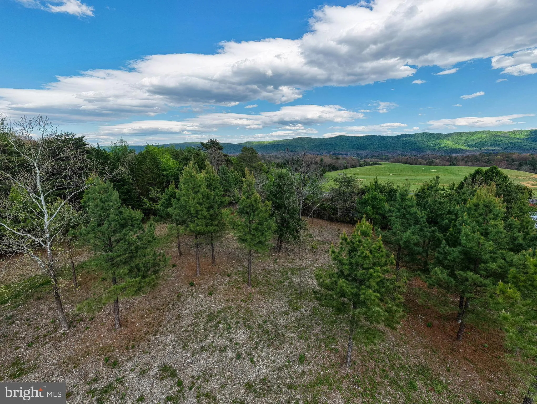 Additional image 58 of Boliver Road, Fort Valley, VA 22652