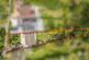 Additional image 15 of Morgay Wood Lane, Hastings TN35