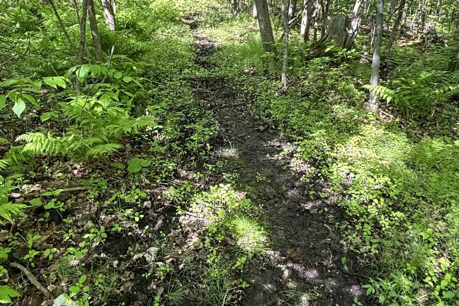 Additional image 14 of 141 Shanagarry Drive