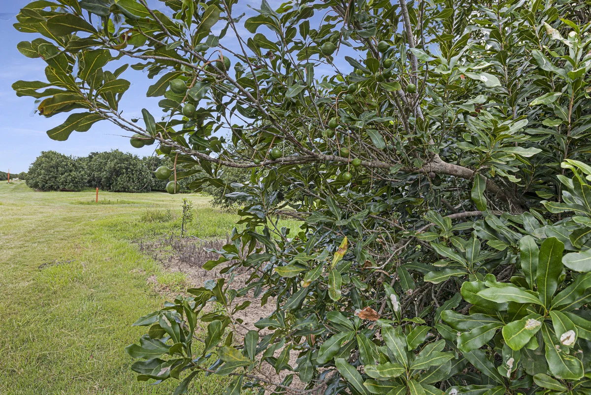 Additional image 10 of Meadowvale QLD 4670