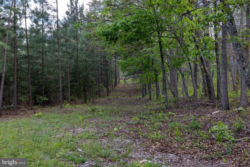 Additional image 24 of Boliver Road, Fort Valley, VA 22652