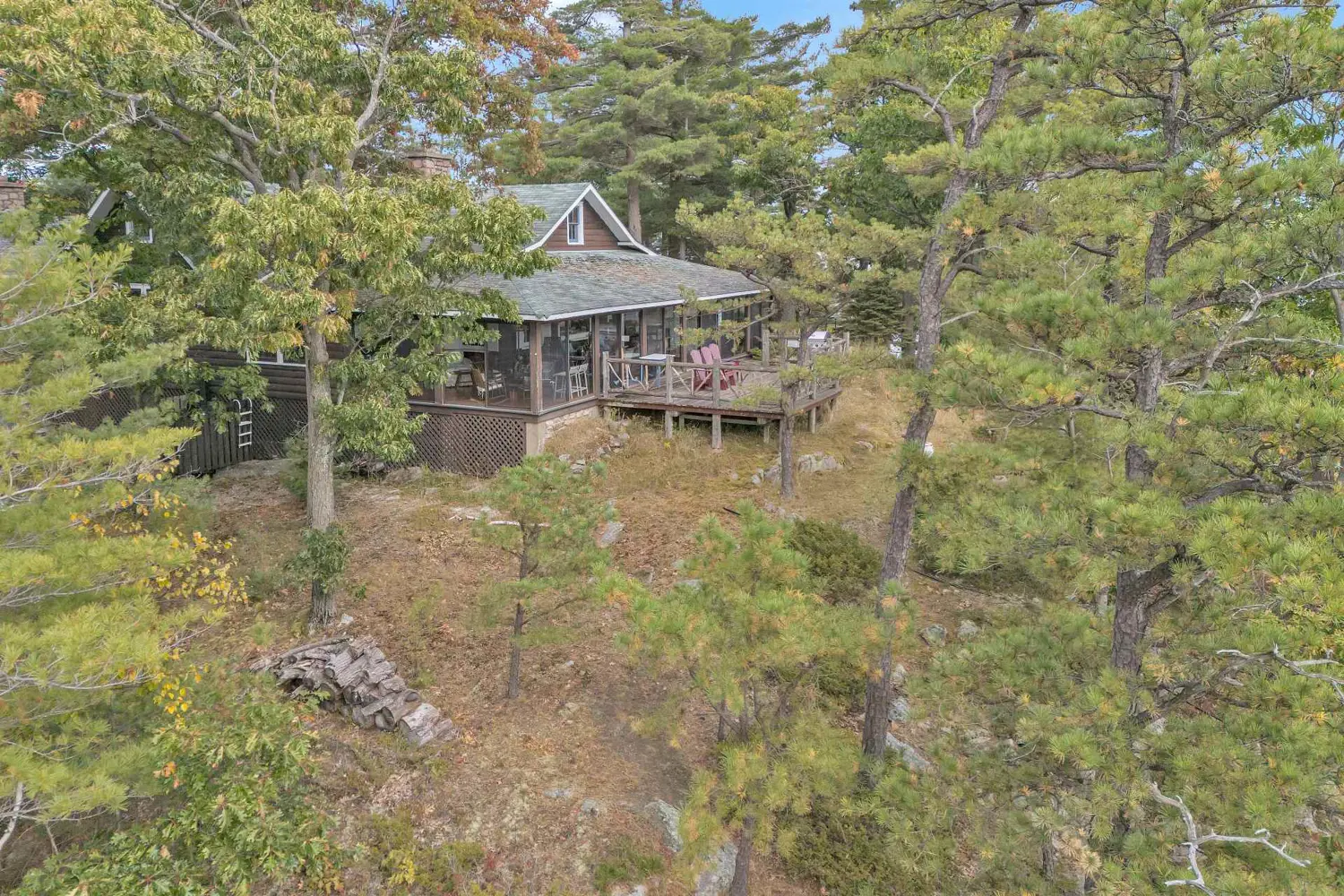 Additional image 8 of 1 Baby Tar Island