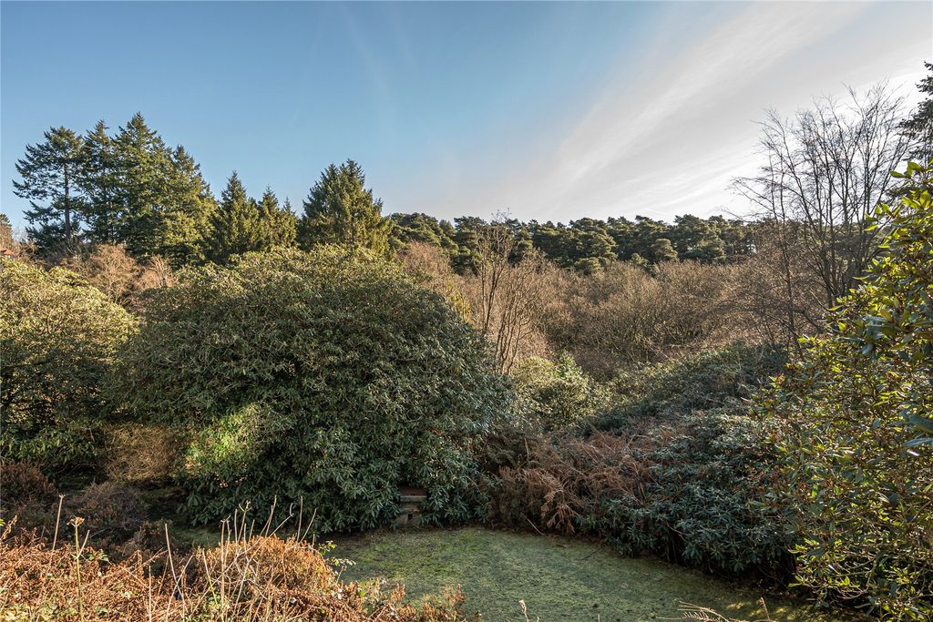 Additional image 2 of 1 bed flat for salePortsmouth Road, Hindhead, Surrey GU26