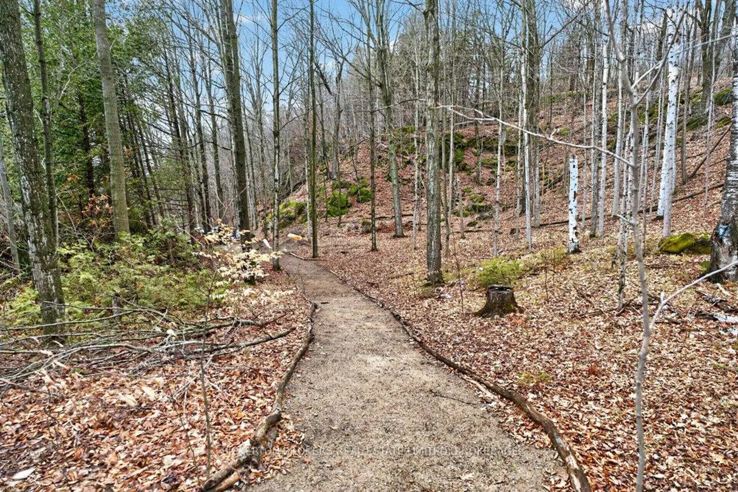 Additional image 12 of 224 Big Hill Road
