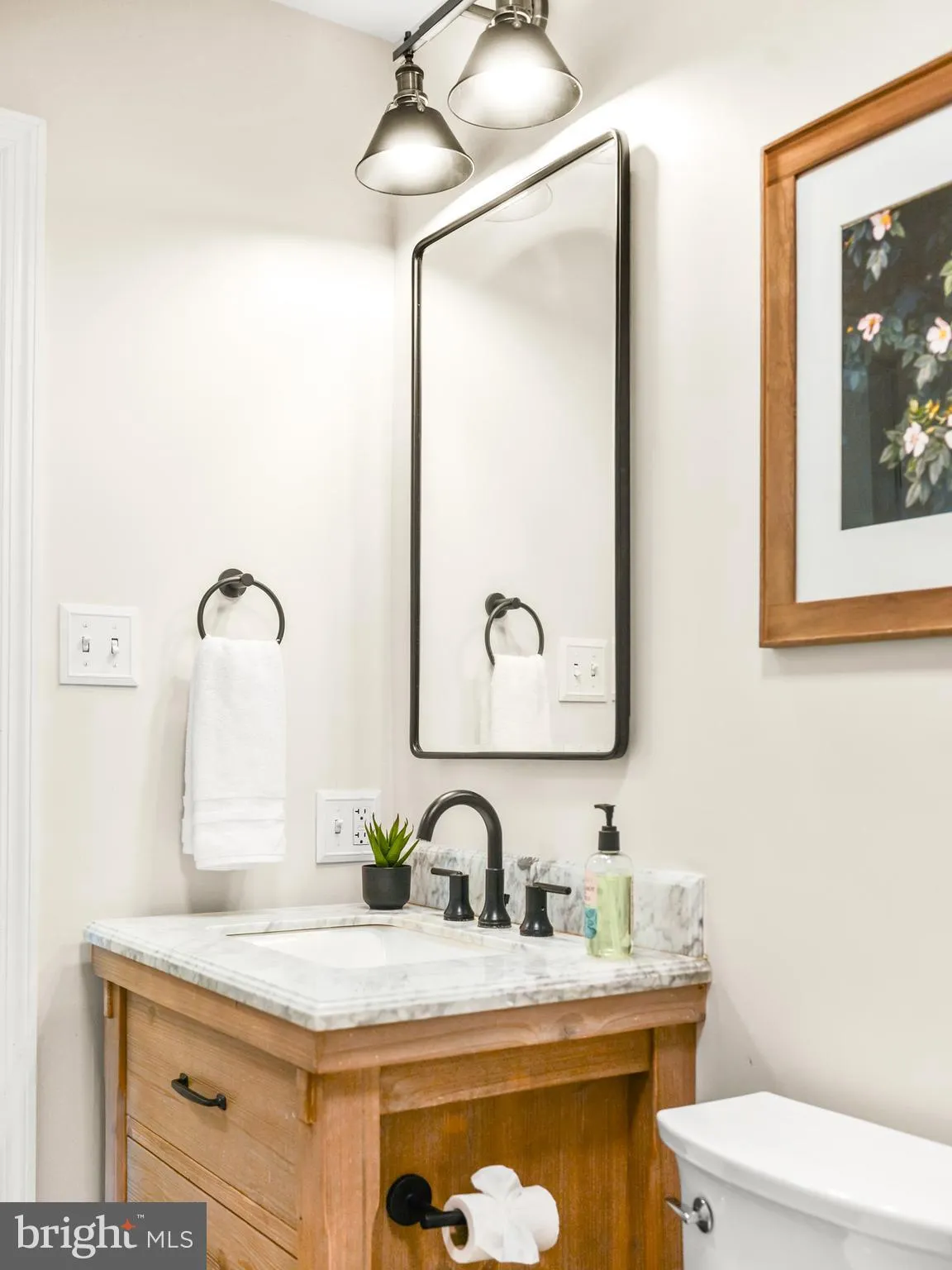 Additional image 99 of 4233 Spring View Court, Jefferson, MD 21755