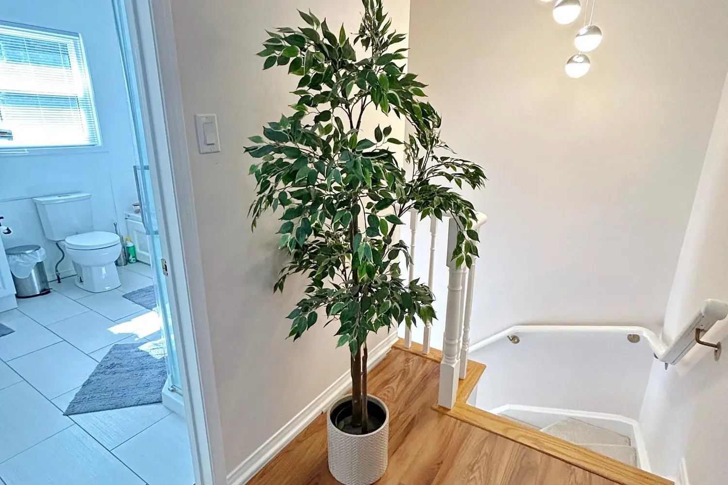 Additional image 8 of 120 D'ambrosio Drive 21