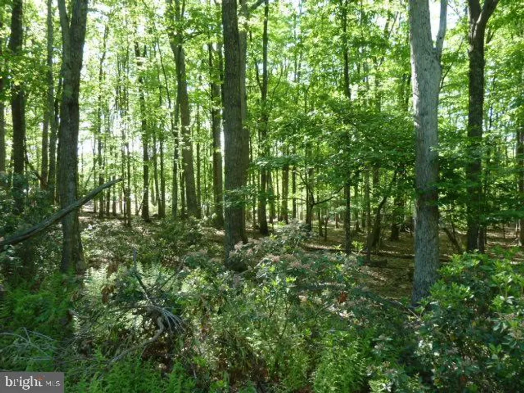 Additional image 13 of 69 Edge Rock Drive, Drums, PA 18222