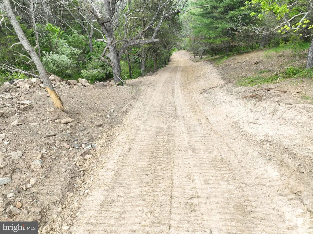 Additional image 5 of 8.25 AC Walnut Tree Lane, Paw Paw, WV 25434