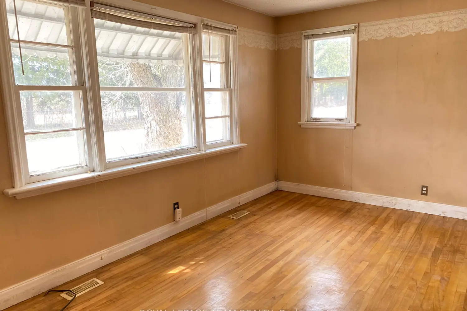 204 Baskin Drive photo 3