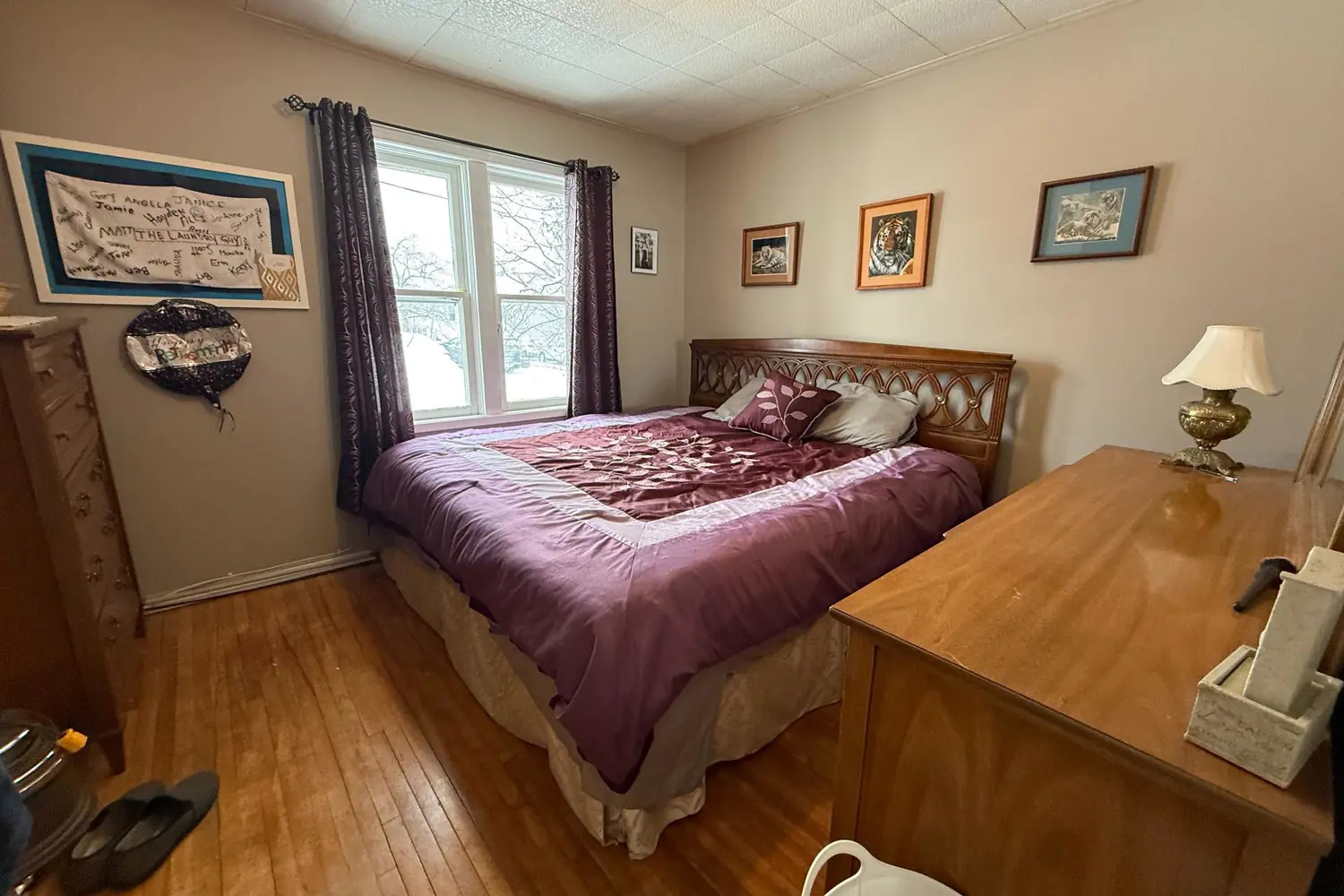 69 Mccamus Avenue photo 5