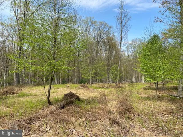 Additional image 19 of 69 Edge Rock Drive, Drums, PA 18222