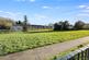Additional image 21 of Longfield Crescent, Surrey KT20