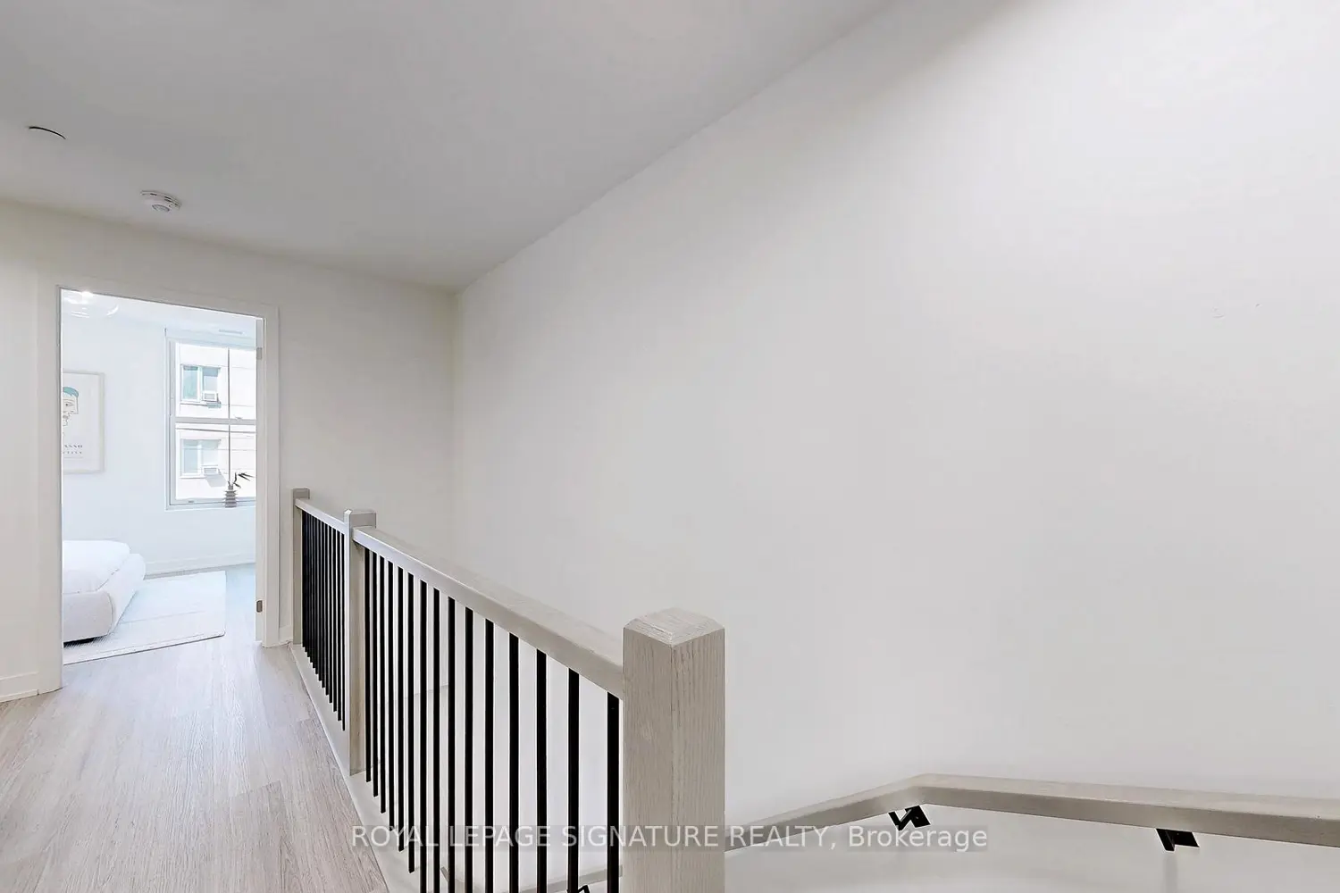 81 Shuter Street photo 5