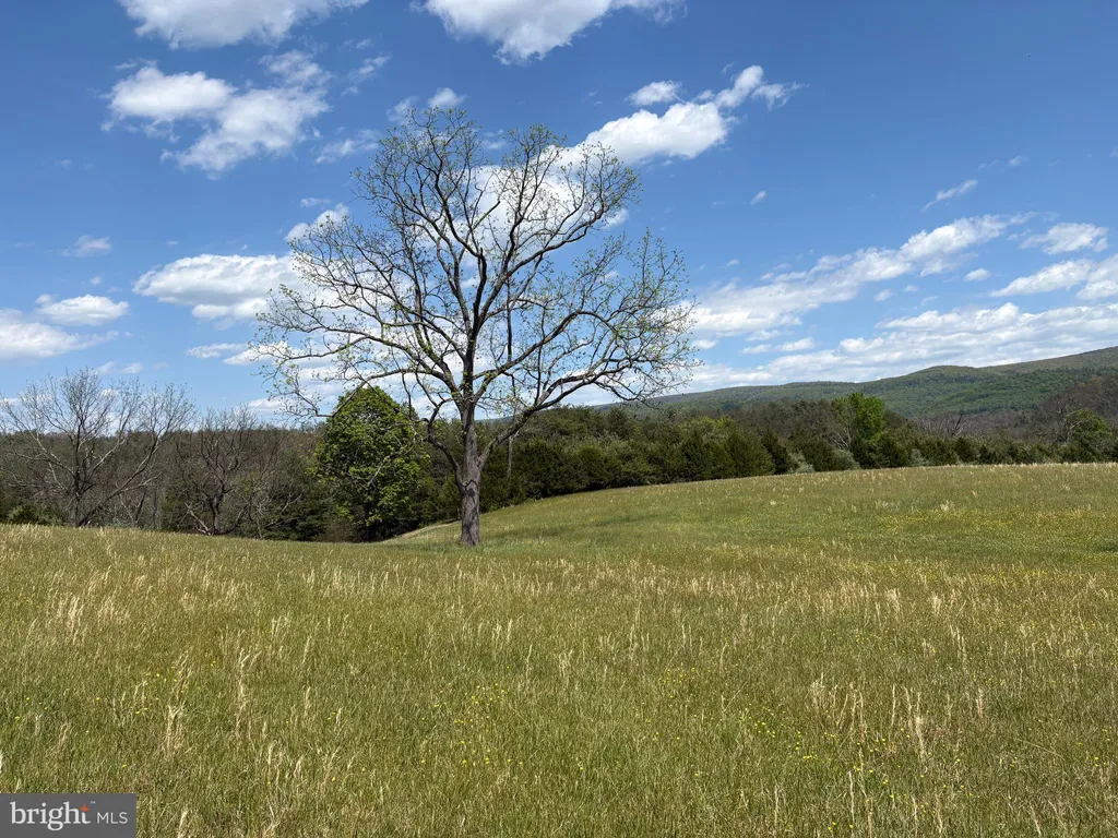 Additional image 12 of 8.25 AC Walnut Tree Lane, Paw Paw, WV 25434