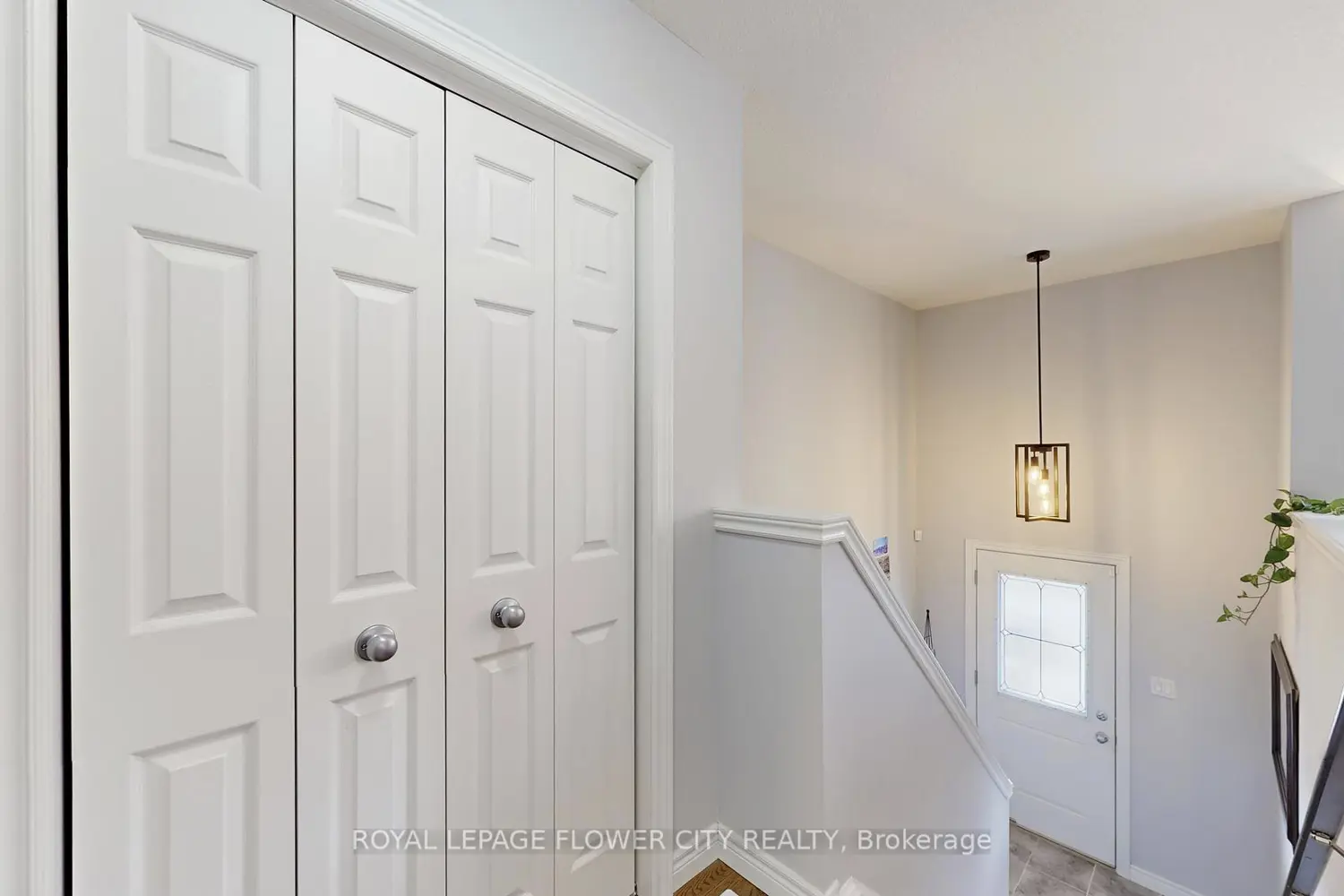 66 Eastview Road 26 photo 5