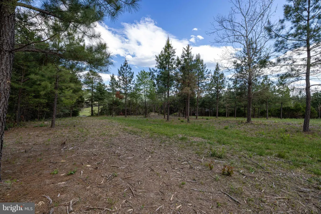 Additional image 12 of Boliver Road, Fort Valley, VA 22652