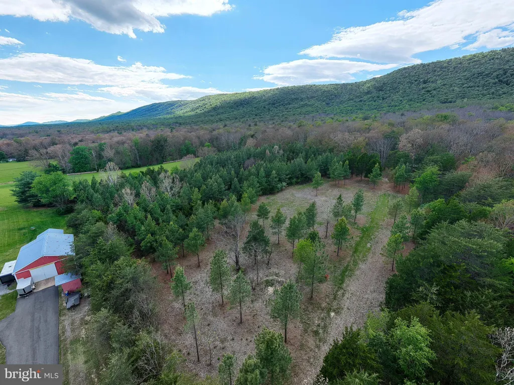 Additional image 43 of Boliver Road, Fort Valley, VA 22652