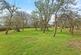 Horsham Road, Capel, Dorking, Surrey, RH5 photo 4