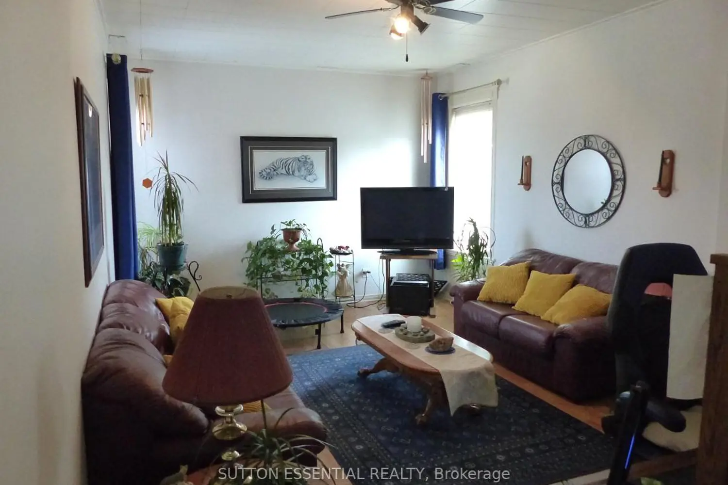 71 Russell Street photo 4
