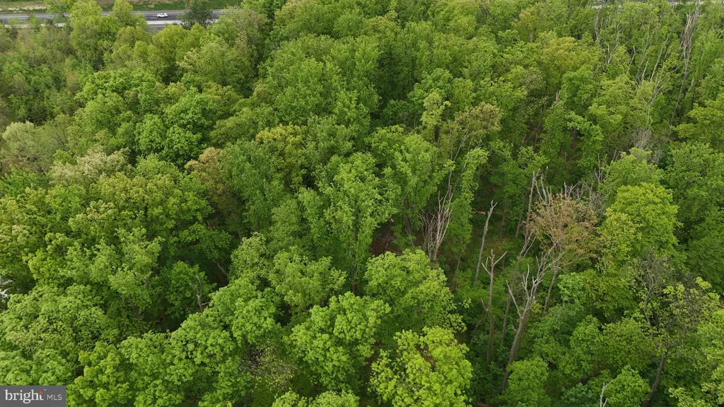 Wambold Road, Green Lane, PA 18054