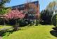 Broom Close, Teddington TW11
