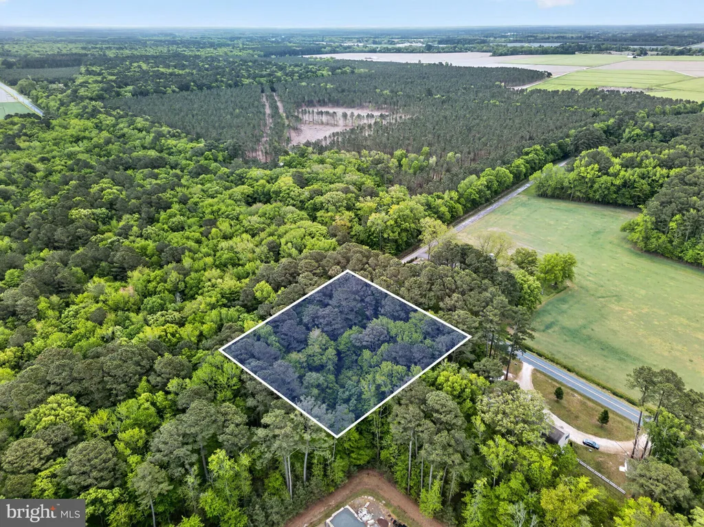 Additional image 16 of Parcel 40 Revells Neck Road, Westover, MD 21871