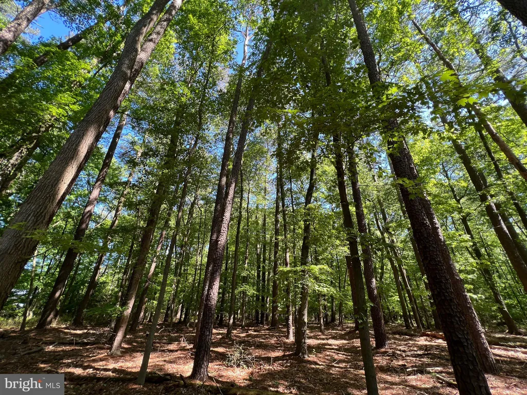 Additional image 12 of Parcel 40 Revells Neck Road, Westover, MD 21871