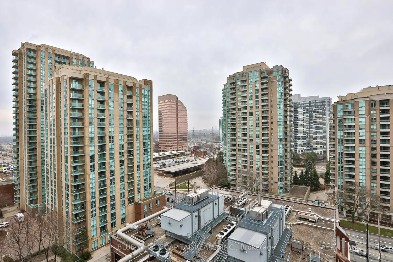 Additional image 17 of 36 Olive Avenue 1205