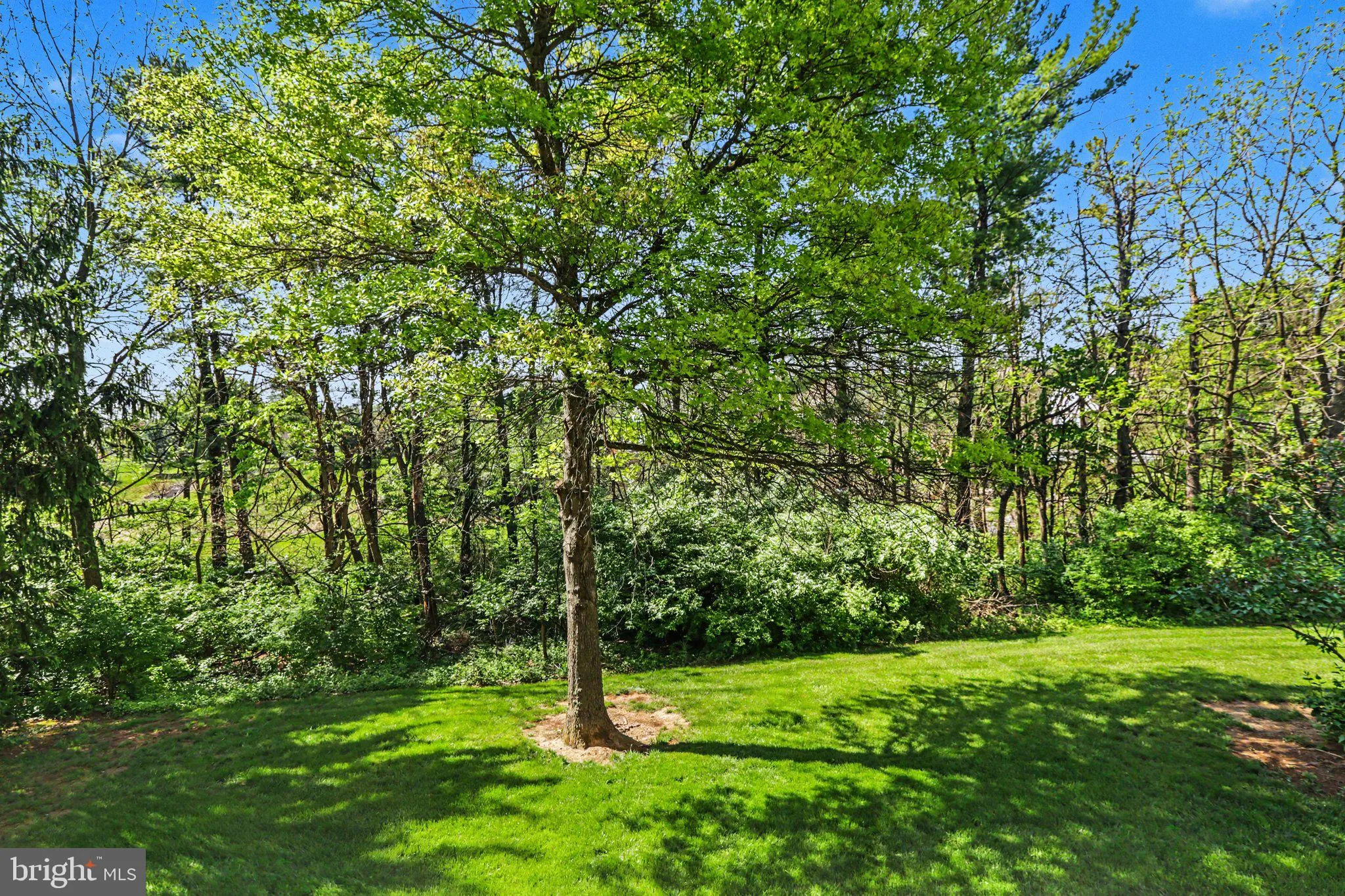 Additional image 51 of 20 Shady Lane, Annville, PA 17003