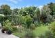 Wickham, Hampshire photo 3