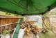 Additional image 12 of Radnor Road, Bracknell, Berkshire