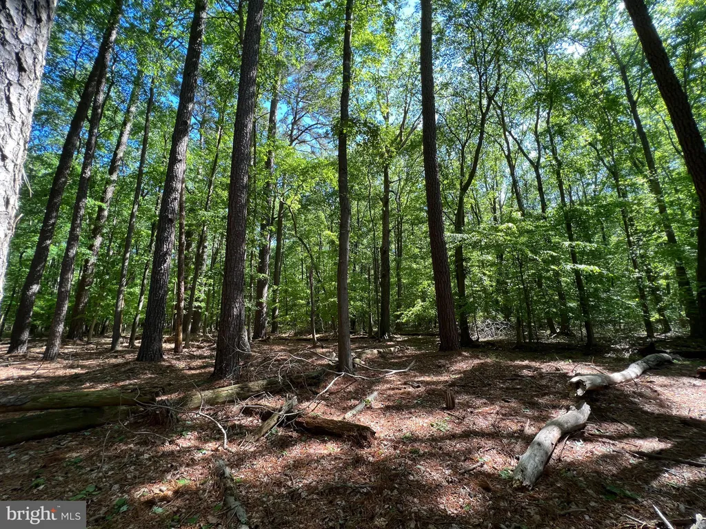 Additional image 13 of Parcel 40 Revells Neck Road, Westover, MD 21871