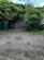 Additional image 19 of North Cottages, Trumpington Road, Cambridge