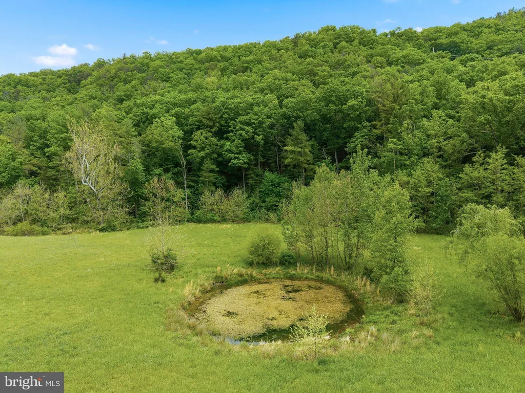 Additional image 65 of 2645 Dry Run Road, Luray, VA 22835