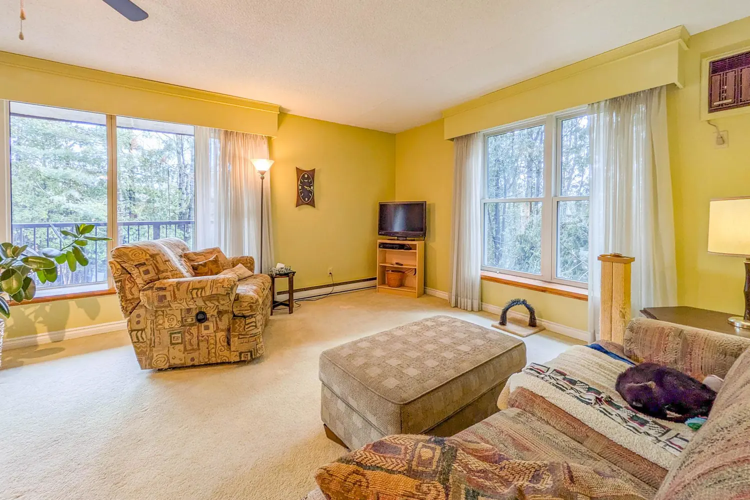 38 Monck Road 101 photo 3
