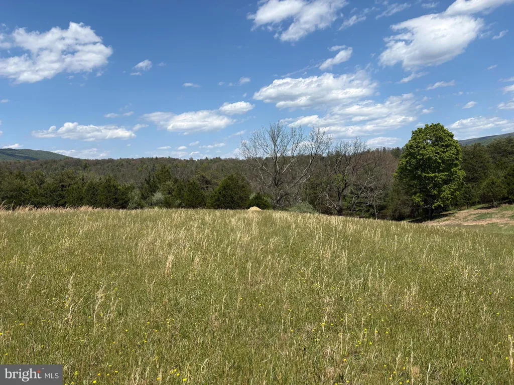 Additional image 14 of 8.25 AC Walnut Tree Lane, Paw Paw, WV 25434