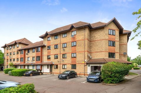 Orchard Grove, London SE20