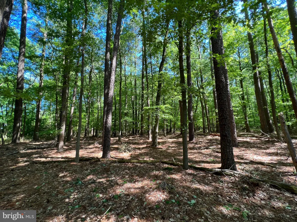 Additional image 7 of Parcel 40 Revells Neck Road, Westover, MD 21871