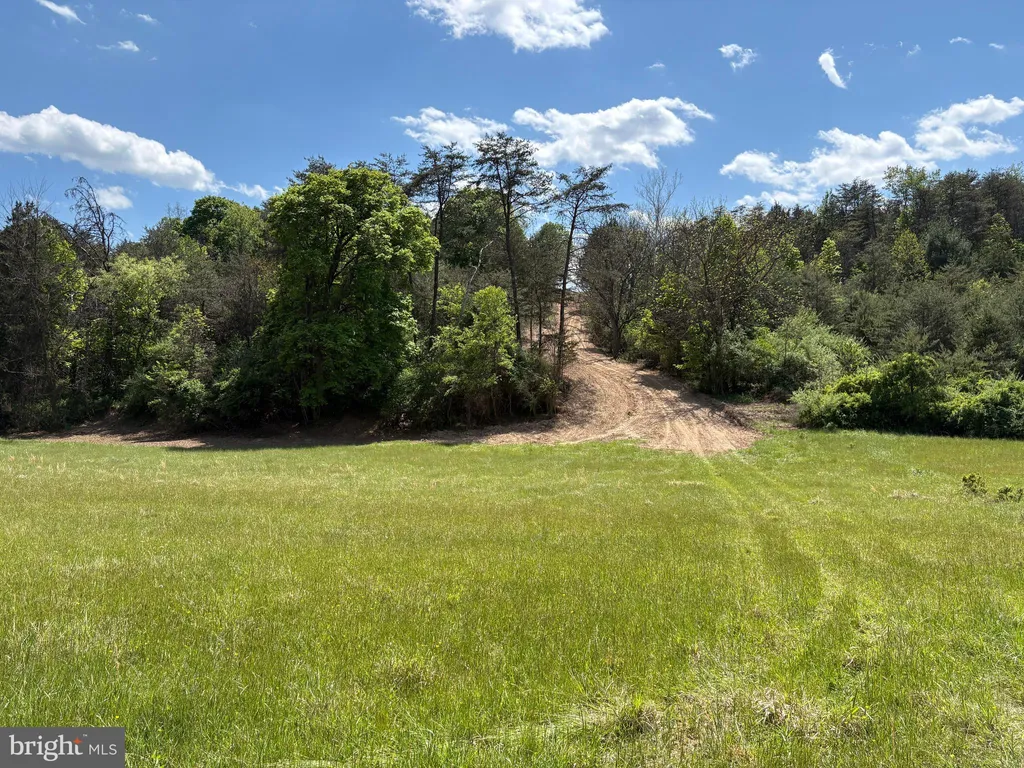 Additional image 22 of 8.25 AC Walnut Tree Lane, Paw Paw, WV 25434