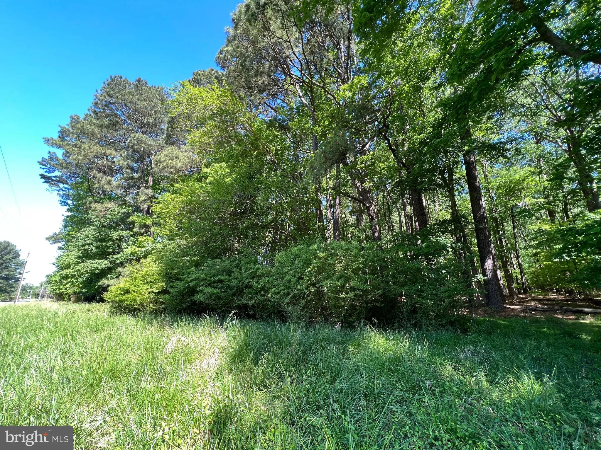 Additional image 28 of Parcel 40 Revells Neck Road, Westover, MD 21871