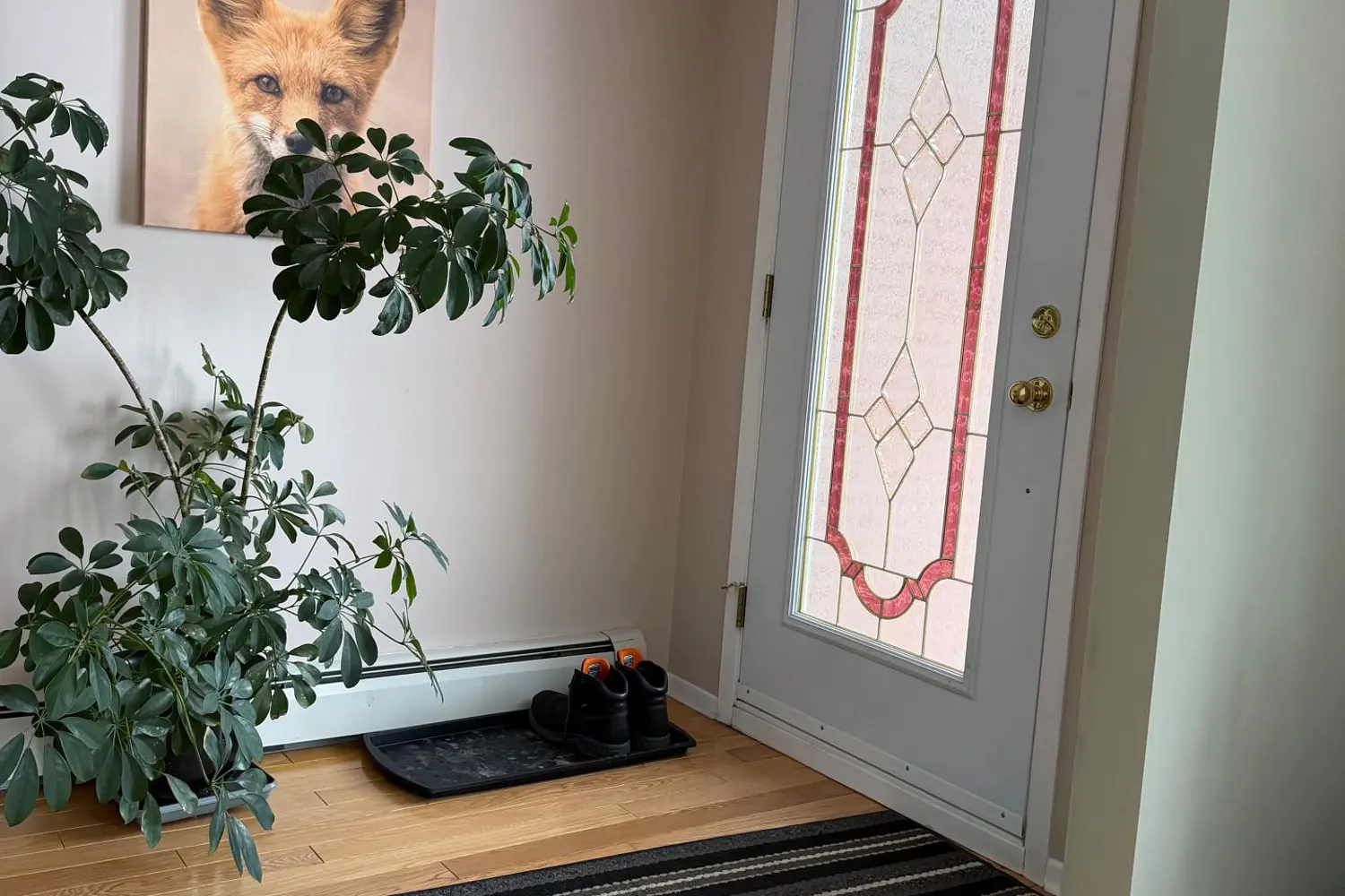 14 Kennedy Avenue photo 2