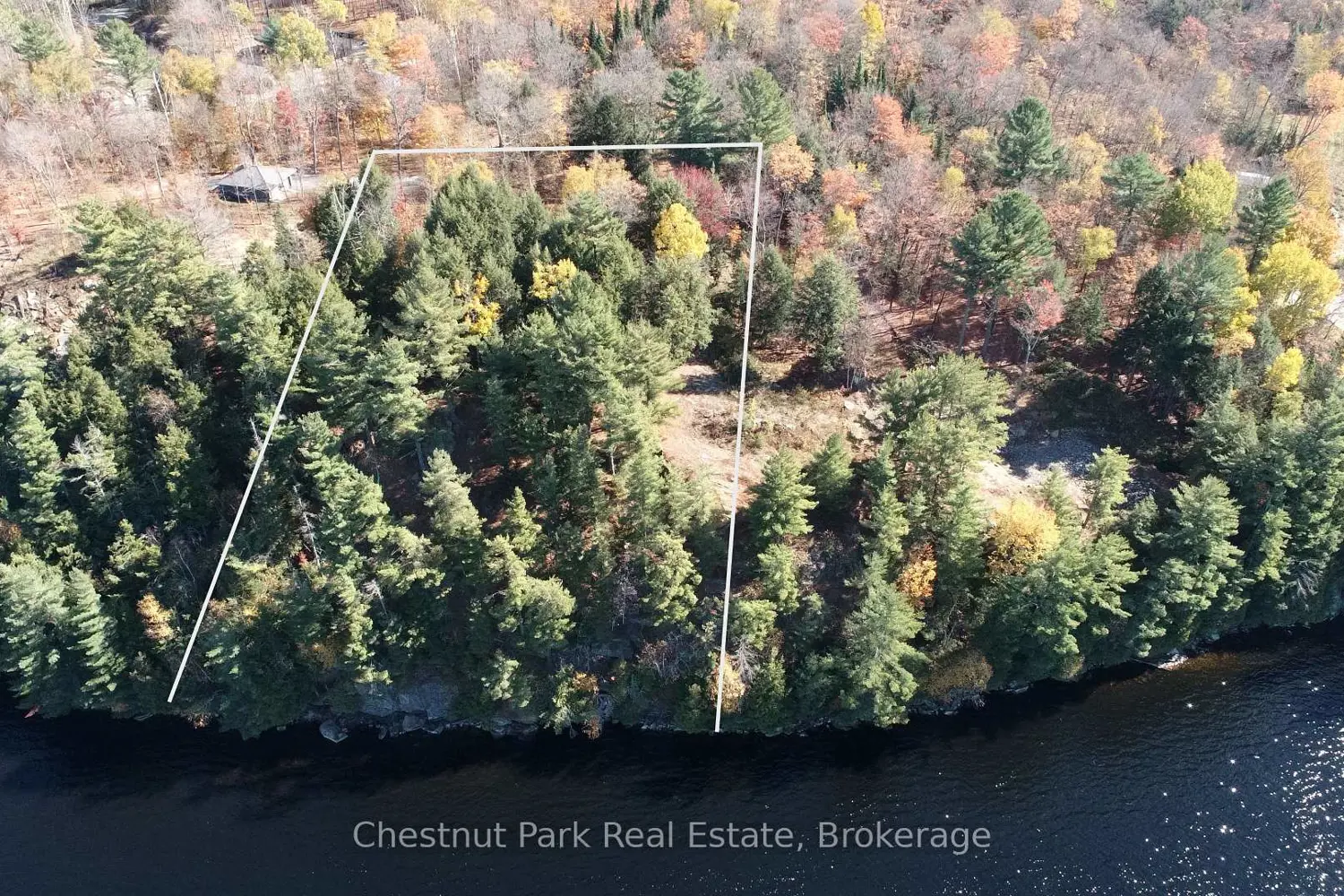 536 Springfield Road photo 2