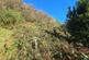 Additional image 22 of Login, Whitland, SA34