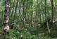 Additional image 30 of Whittaker Lane, Little Eaton
