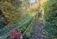 Additional image 20 of Login, Whitland, SA34