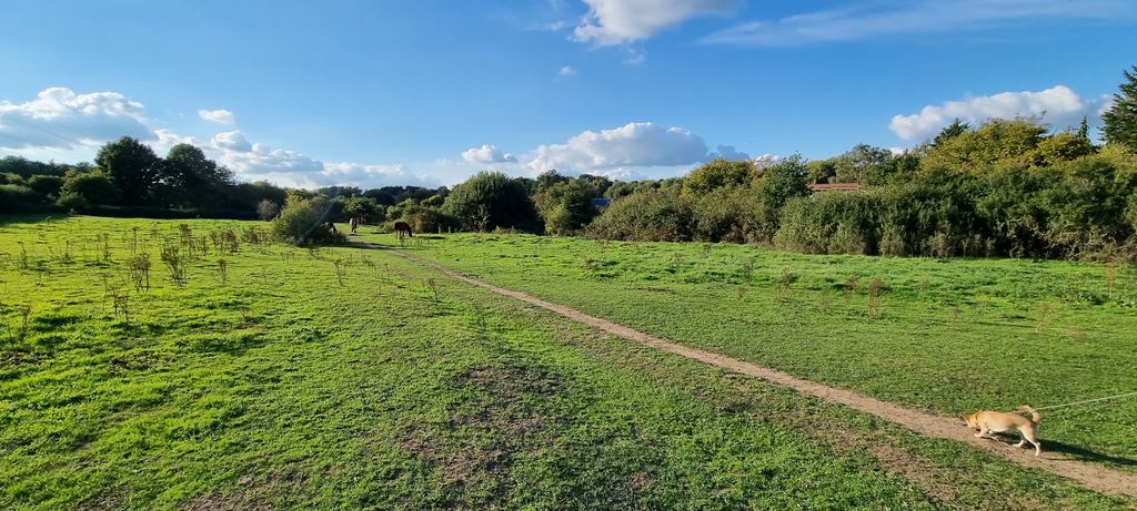 Additional image 14 of Land for saleOld Rectory Lane Bakers Wood, Uxbridge UB9